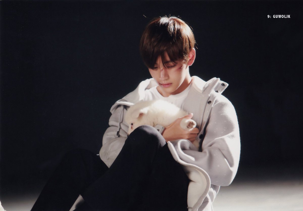 又到收美图时间!集齐不同时期的防弹