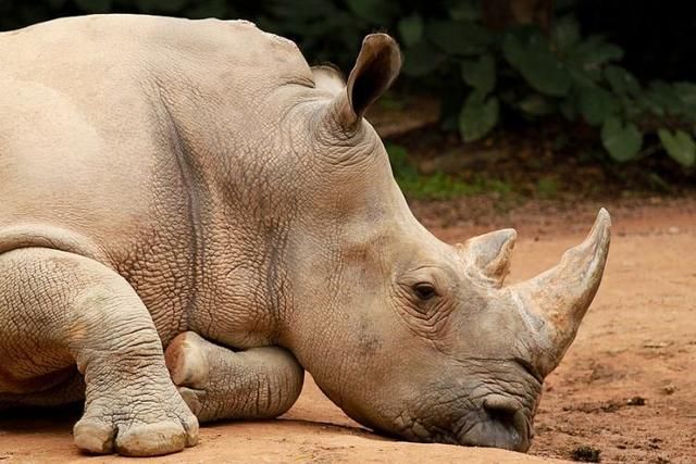 重庆十大最适合一家人去的景点,最好玩的是这个地方,你去了吗