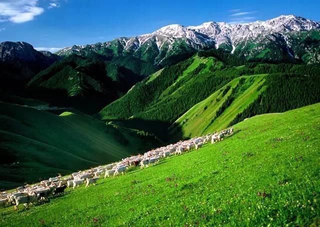 甘肃这个小城，竟没有一只蚊子!曾是七朝古都，却鲜为人知!