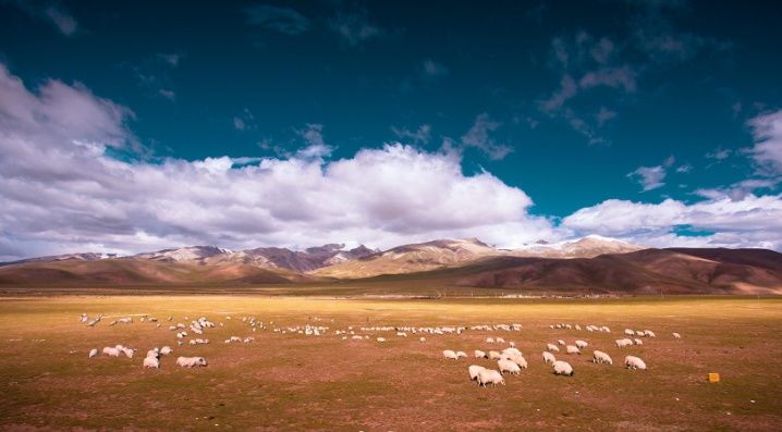 驱车自驾进入西藏后我们只要注意这八大事项,