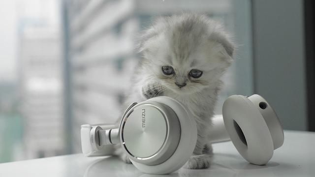 独家消息:魅蓝将发国产最美蓝牙耳机,源自北欧