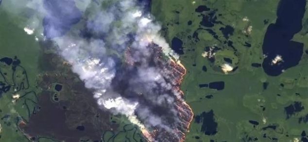 澳大利亚被烧了