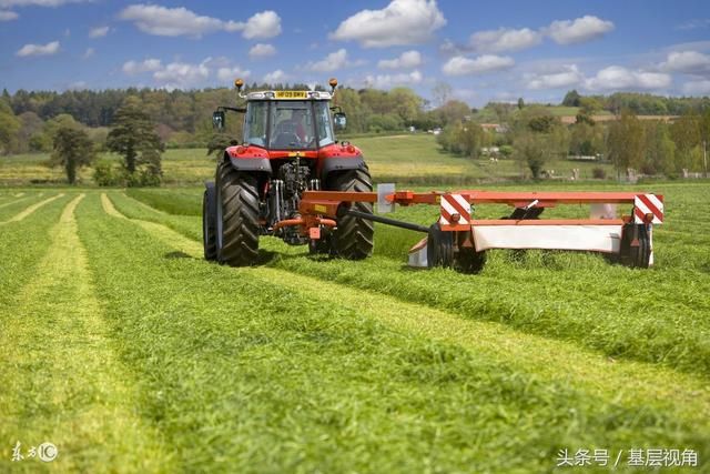 又一促进农业发展文件出台,扶持资金将向这方