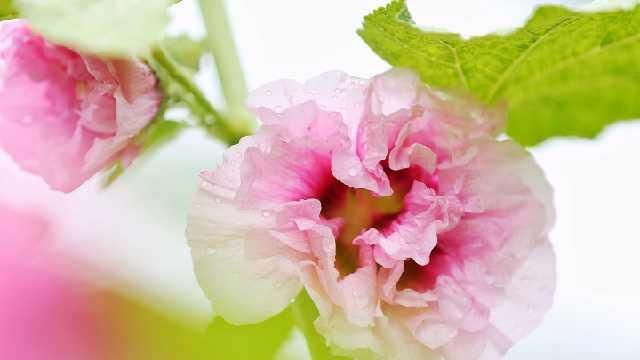 脉脉怎么知道我名字