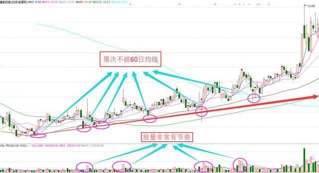 中国股市闹了个国际大笑话，血洗A股原因公开，重大隐患终于爆发