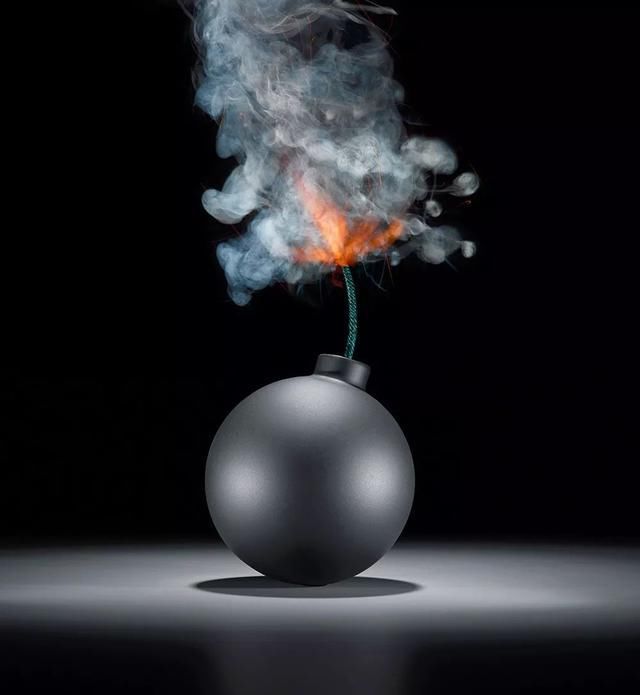 股东使用公司资金