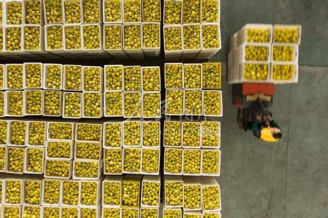 内江是四川哪里