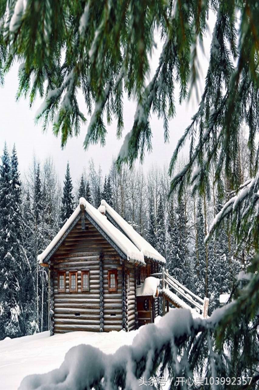 53张适合做手机壁纸的精美竖版雪景图片集,希