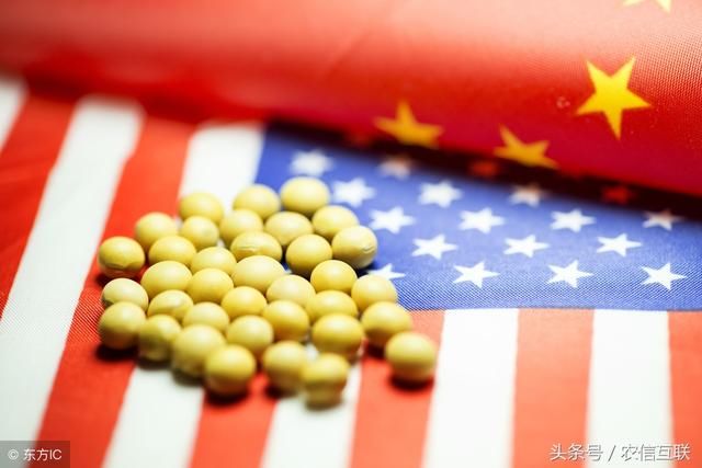 中国大豆种植面积增加,进口大豆骤减?太天真:远水解不了近渴!