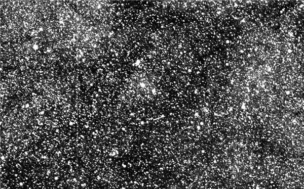 寻找系外行星:NASA最新望远镜TESS发回首批测试图像