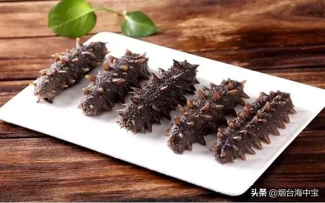 哪些人适合吃海参 t01cf55e771c92a145d.jpg