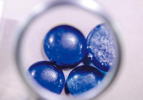 柯洁将争夺第四届洛阳白云山杯中国围棋棋圣战