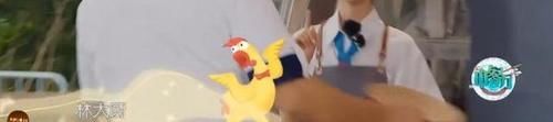 有梗少年王俊凯，你怎么这么让人心疼？