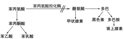 商标注册号在哪里看