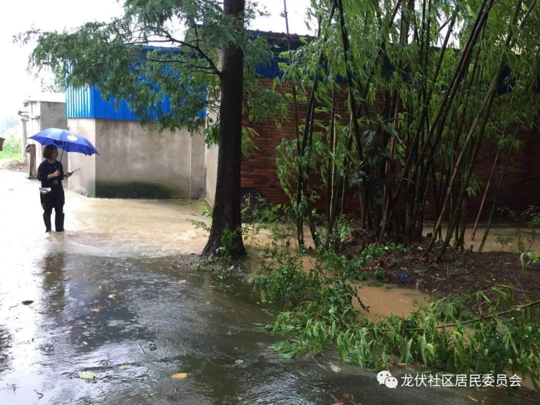 关于龙伏社区暴雨天开展各种防汛安全工作隐患
