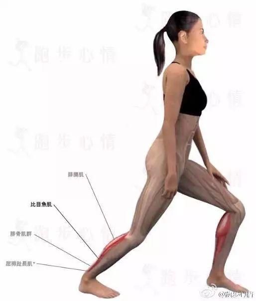 做到这5点的人,一定没有大肚腩