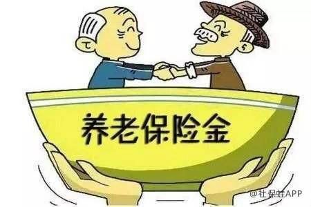 参保员工:单位养老保险缴费比例下降,我退休后
