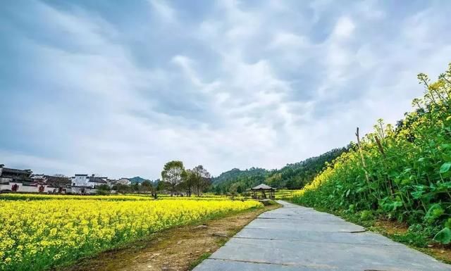 大好春光，3月花开成海！中国最美的10个赏花地，惊艳整个朋友圈