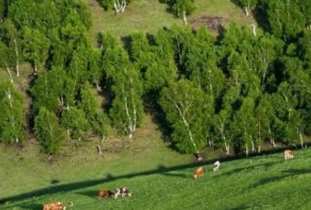 在北京有一处原始森林你知道吗?看看这里的森林美景吧! 银河娱乐场官方网站下载