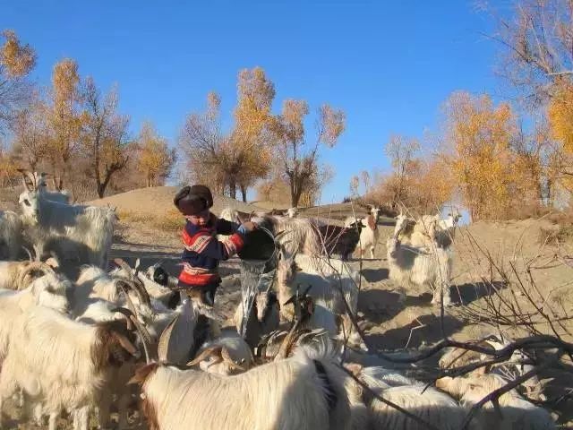 它是中国最难到达的古村落，大漠深处的桃花源，400多年不为人知!