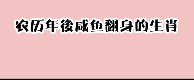 农历年后时来运转的生肖,恭喜上榜的朋友!