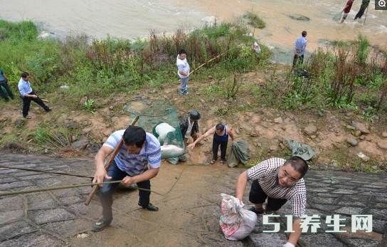 农村一水库泄洪，村民下河轻松捞出近百斤大家伙，村民纷纷围观