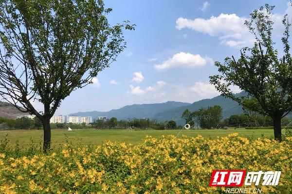 云阳：一江绿水两岸青山 三峡腹地筑起生态屏障