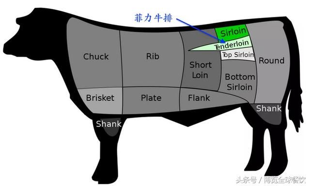 菲力牛排与西冷牛排什么区别？快学会，省着在女神面前丢脸啦！