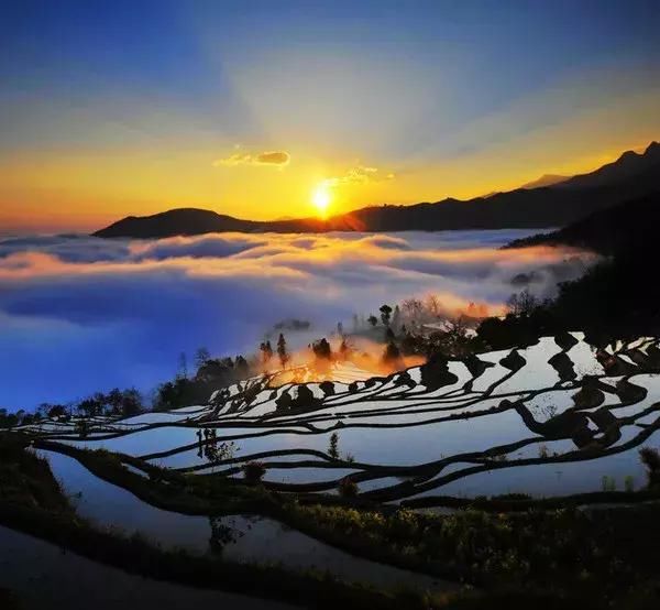 三月百色-云南自驾游,这是一条最早的春天的自驾线路!美不胜收