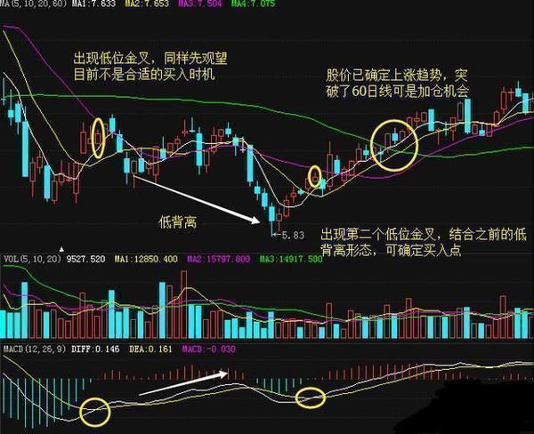 中国股市将或出现罕见大牛！专家：未来三年沪指有望突破10000点