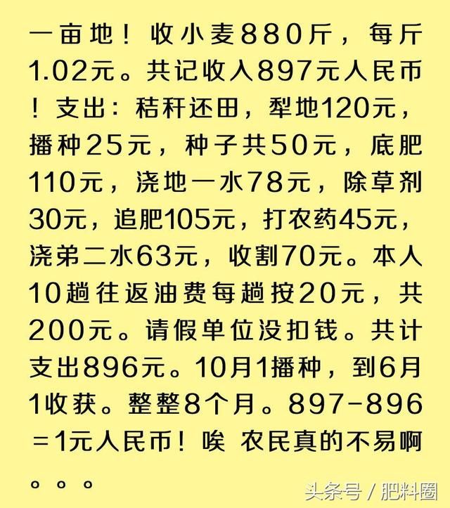 种1亩小麦白搭人工，才挣1元钱，真事吗？这位老农算的对不对？