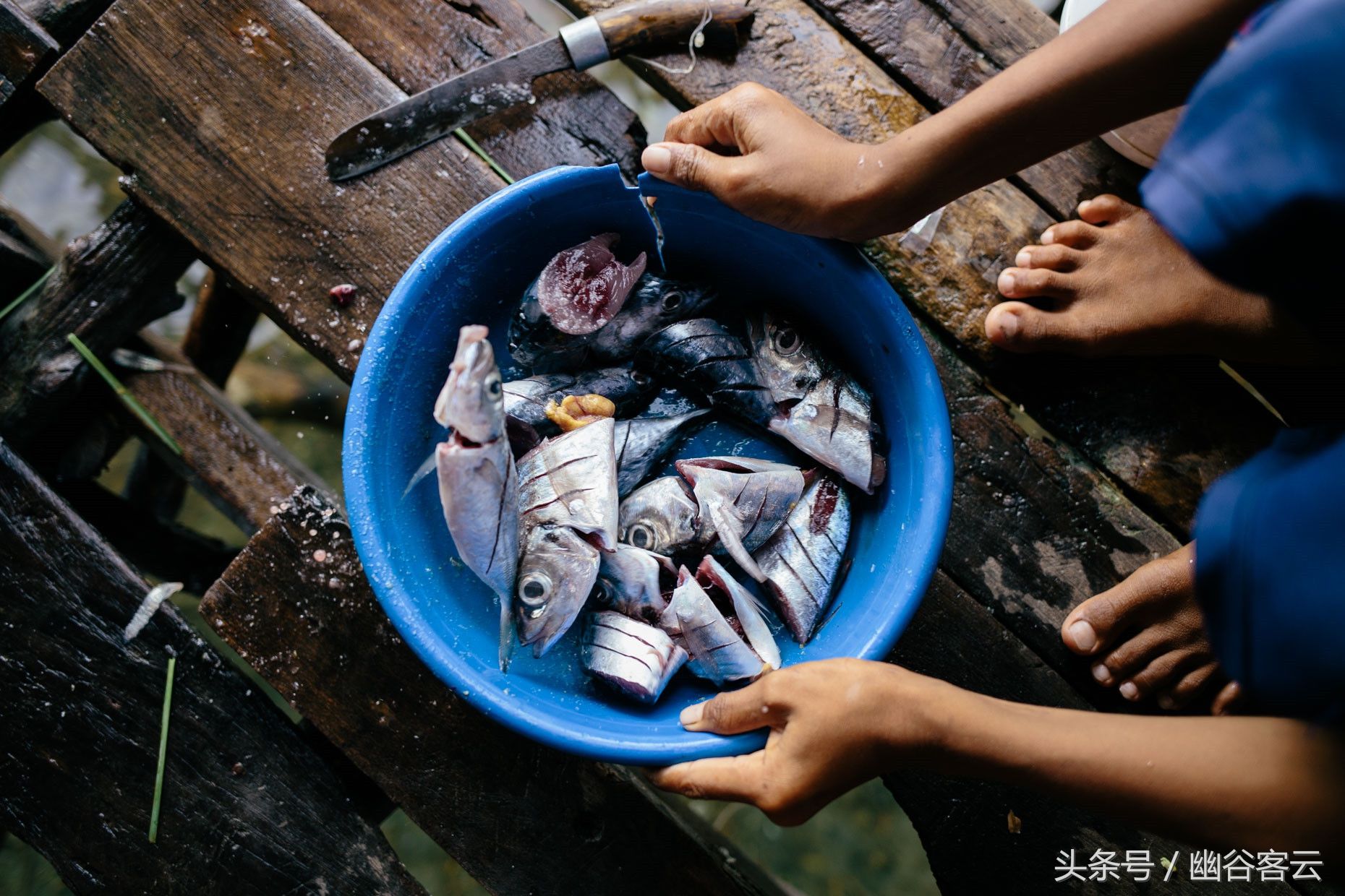 世界上最自由的民族:没有国籍，每天睡到自然醒，天天吃鲍鱼!