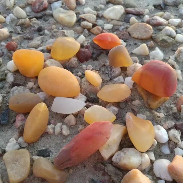 新疆大漠戈壁滩上的(金丝玉)雅丹玉的来历和收藏