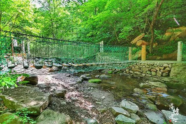 我国这个景点以苔藓众多闻名，很像日本的西芳寺，游客多为日本人