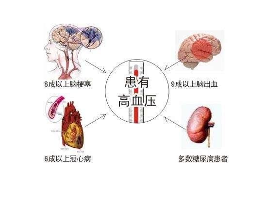 哪些食物能“克制”高血压？4种常见食物，比想象中厉害！