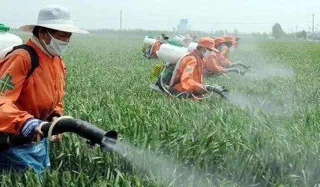 调味料、肉食、牛奶、盐都会伤害人体!病从口