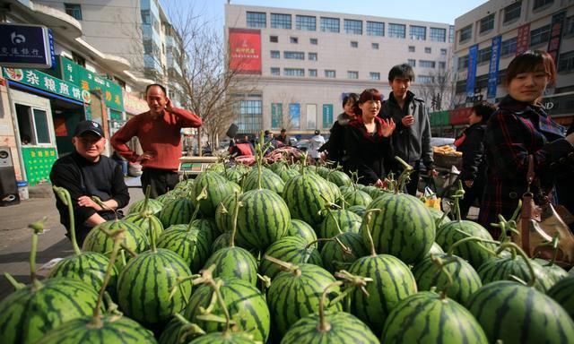 越南西瓜无人问津，销路成问题，原因是老挝在背后“捅刀子”？