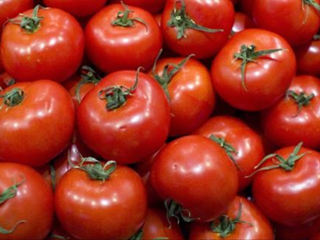 为什么现在的西红柿这么难吃?