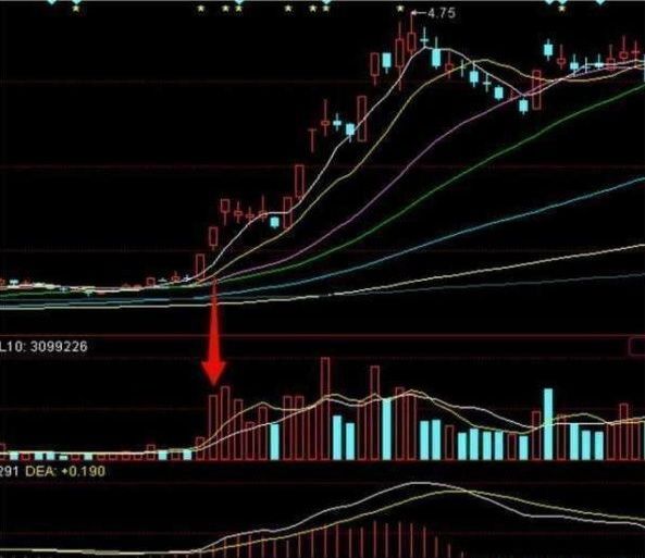 李大霄曝出最犀利选股诀窍，五分钟让你学会 散户:月入百万不是梦