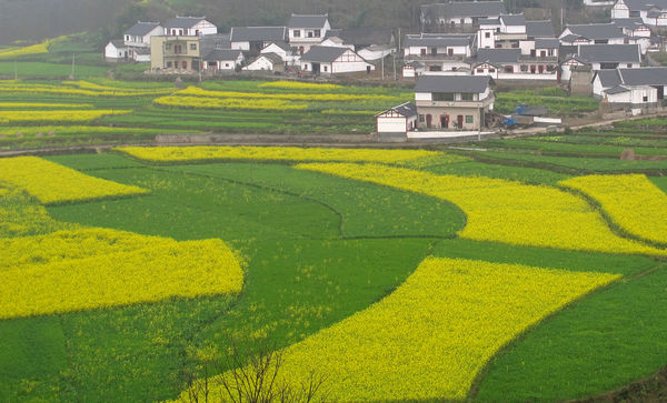 贵州又一个县被国家撤县设市,发展潜力巨大,