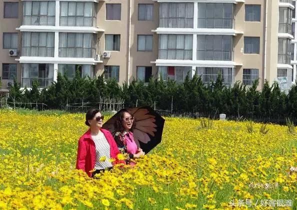 哪凉快就去哪呆着吧!23℃的乳山银滩诚邀你来清凉一“夏”!