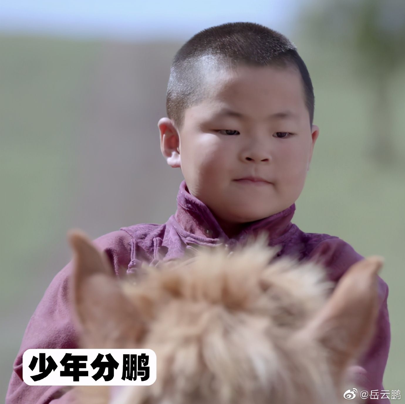 岳云鹏分享长得像的人，看见那日本分鹏我愣了，这不松冈祯丞么？