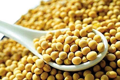 女性对于卵巢早衰要怎么预防?要吃些什么食物