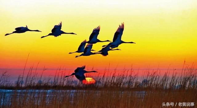 上联: 三光日月星 ,苏东坡的下联惊服辽使_【快