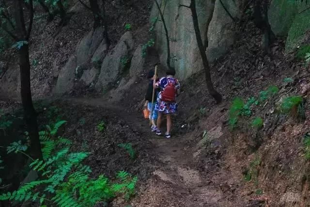 嵩县多少人口_嵩县白云山
