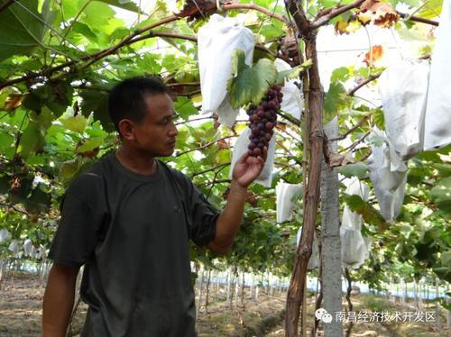 【暖新闻江西2018】退役老兵返乡创业,不忘乡