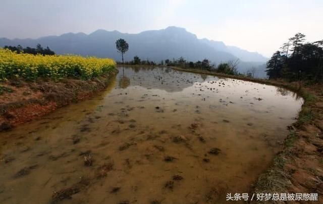 全球最险的一块空中稻田就在中国 位于2000米山峰之巅