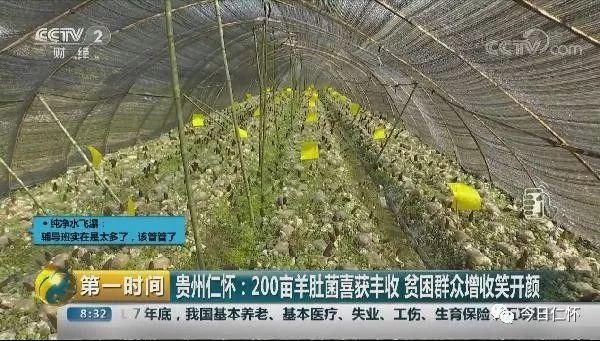 2018仁怀市经济总量_仁怀市九仓小学图片