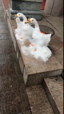 大哥一脸的生无可恋啊,你就知足吧,好歹还有个女朋友