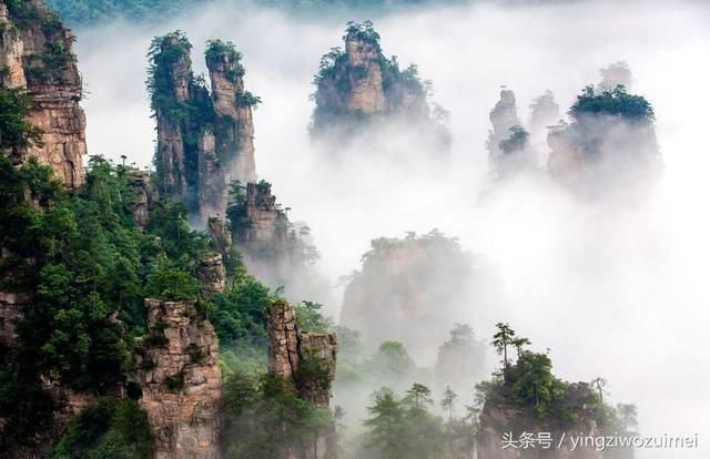 张家界旅游是否需要请导游?张家界陈峰自助游秦阿妹在这探讨一下